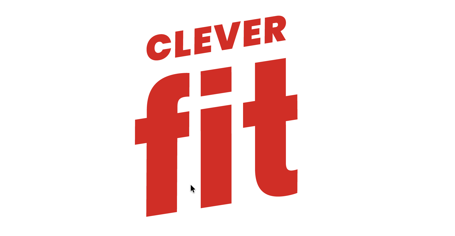 clever fit